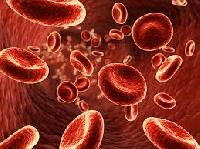 Вчені виявили, що рівень заліза у крові може впливати на тривалість життя людини
